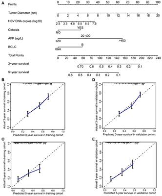 Contribution of Hepatitis B Virus Infection to the Aggressiveness of Primary Liver Cancer: A Clinical Epidemiological Study in Eastern China